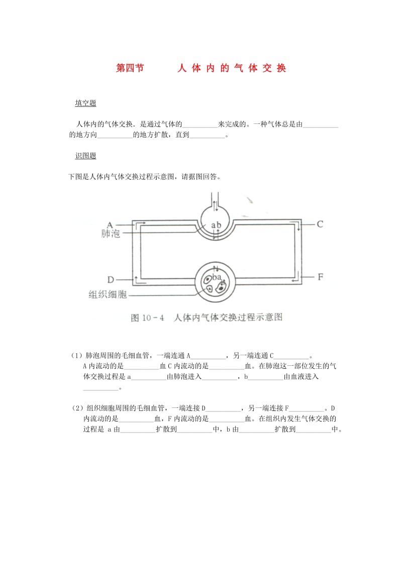 七年级生物下册 10.4人体内的气体交换同步测试（新版）苏教版.doc_第1页