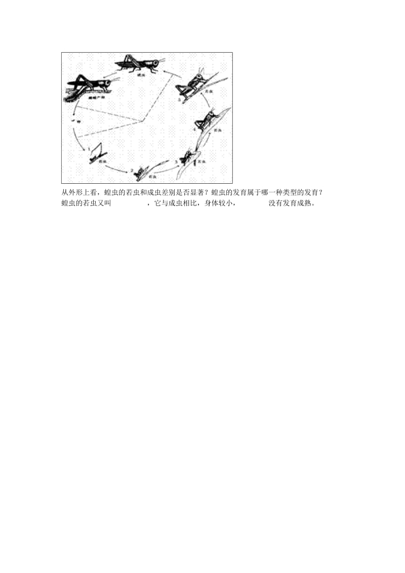 河南省永城市八年级生物下册 7.1.2《昆虫的生殖和发育》随堂测试（新版）新人教版.doc_第2页