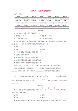 廣東省2019年中考化學(xué)總復(fù)習(xí) 第1部分 第一章 物質(zhì)構(gòu)成的秘密 課時4 化學(xué)式與化合價優(yōu)化訓(xùn)練.doc