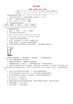 九年級(jí)化學(xué)下冊(cè) 期中測(cè)試 （新版）魯教版.doc