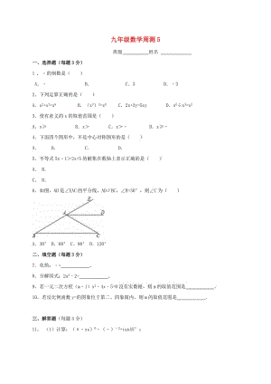 江蘇省淮安市淮陰區(qū)凌橋鄉(xiāng)九年級數(shù)學下學期周測5.doc