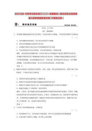 2019-2020年高考生物總復(fù)習(xí) 1-1-1細(xì)胞概述、基本結(jié)構(gòu)及真核細(xì)胞與原核細(xì)胞配套訓(xùn)練 中圖版必修1 .doc