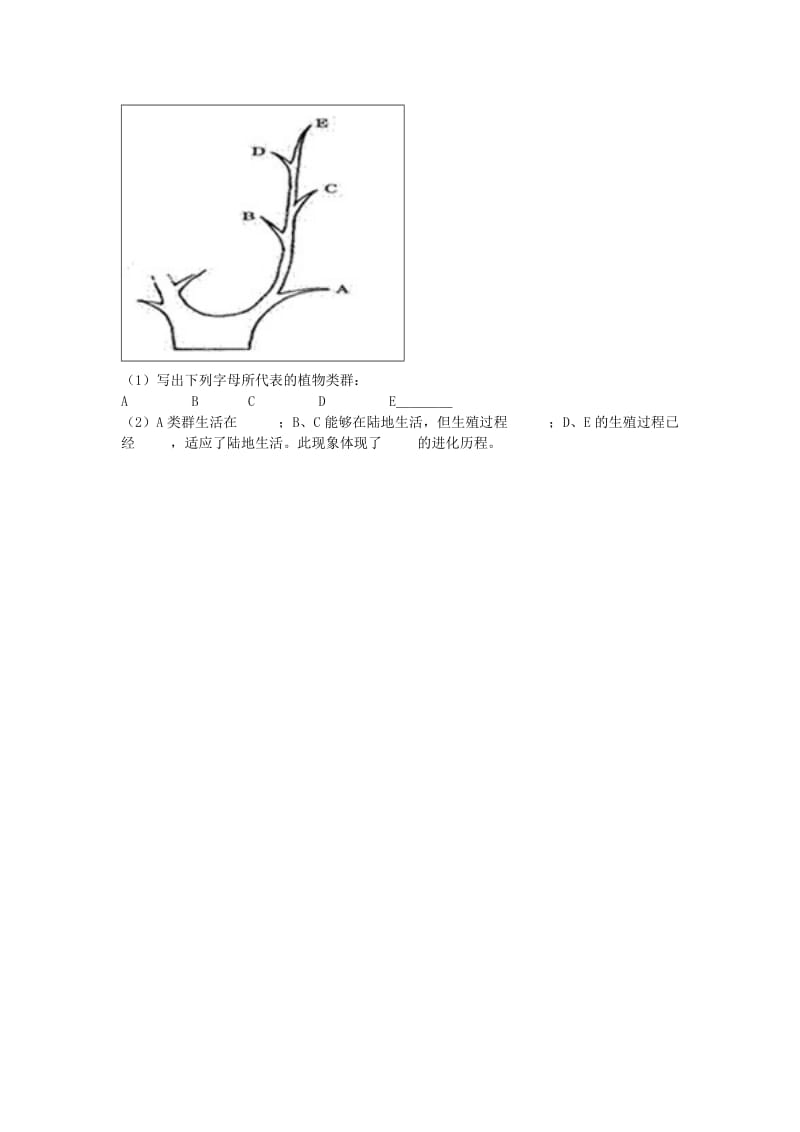 河南省永城市八年级生物下册 7.3.2《生物进化的历程》同步练习（新版）新人教版.doc_第3页