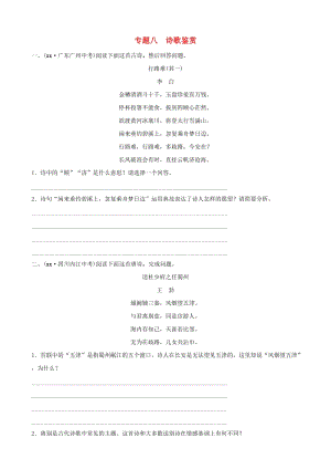 山東省臨沂市2019年中考語文 專題復(fù)習(xí)八 詩歌鑒賞練習(xí).doc