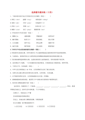 湖北省丹江口市中考語文選擇題專題訓(xùn)練十四無答案.doc