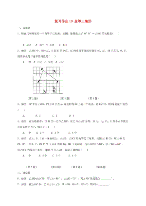 江蘇省淮安市淮陰區(qū)凌橋鄉(xiāng)九年級數(shù)學(xué)下學(xué)期復(fù)習(xí)作業(yè)19 全等三角形.doc