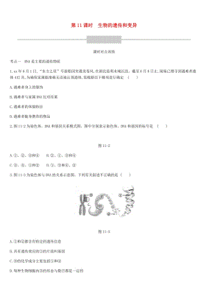 廣東省深圳市2019年中考生物 主題復(fù)習(xí)六 生物的生殖、發(fā)育和遺傳、變異 第11課時 生物的遺傳和變異練習(xí).doc