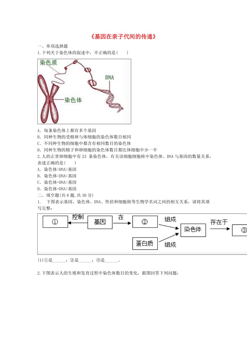河南省永城市八年级生物下册 7.2.2《基因在亲子代间的传递》综合训练（新版）新人教版.doc_第1页