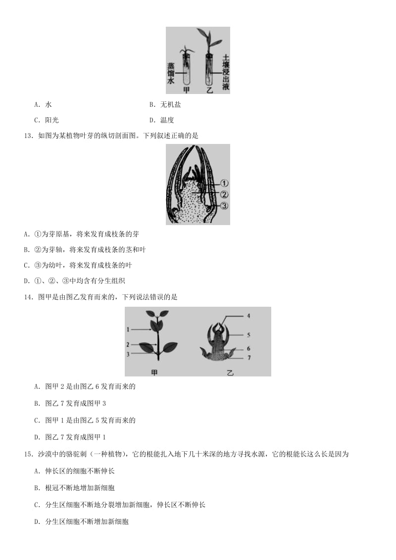 2019年中考生物 植株的生长重要考点练习卷.doc_第3页