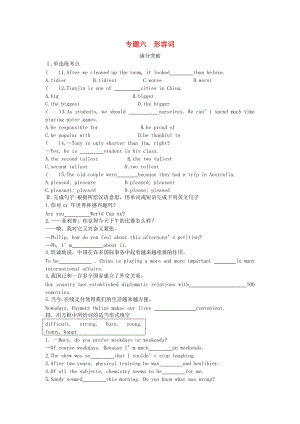 陜西省2019年中考英語總復習 專題六 形容詞滿分突破試題（含解析）.doc