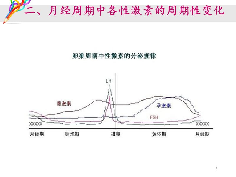 性激素化验单的分析和应对措施ppt课件_第3页