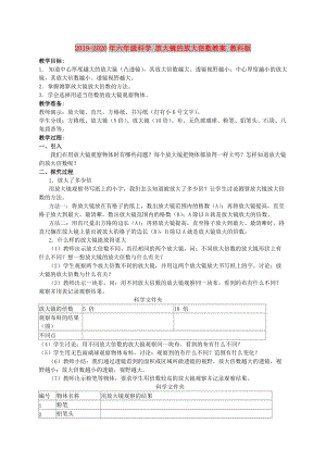 2019-2020年六年級科學(xué) 放大鏡的放大倍數(shù)教案 教科版.doc