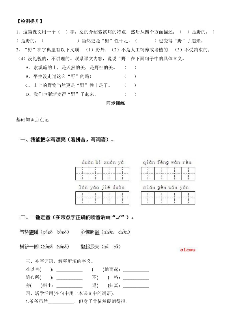 2019-2020年人教版语文六年级上册4.索溪峪的“野”导学案.doc_第2页