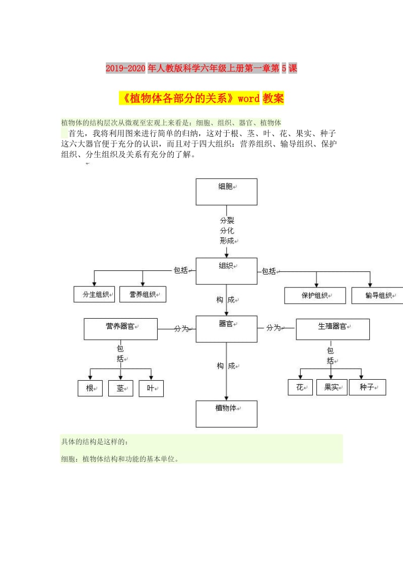 2019-2020年人教版科学六年级上册第一章第5课《植物体各部分的关系》word教案.doc_第1页