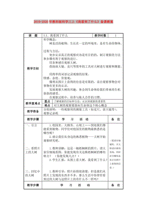 2019-2020年教科版科學(xué)三上《我看到了什么》備課教案.doc