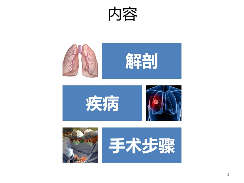 胸腔镜肺楔形切除术ppt课件_第2页