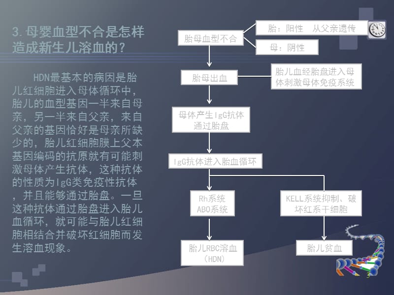 新生儿溶血病检测ppt课件_第3页