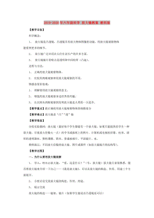 2019-2020年六年級科學(xué) 放大鏡教案 教科版.doc