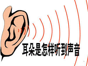 新浙教版科学七下第二章第三节第1课时耳和听觉ppt课件