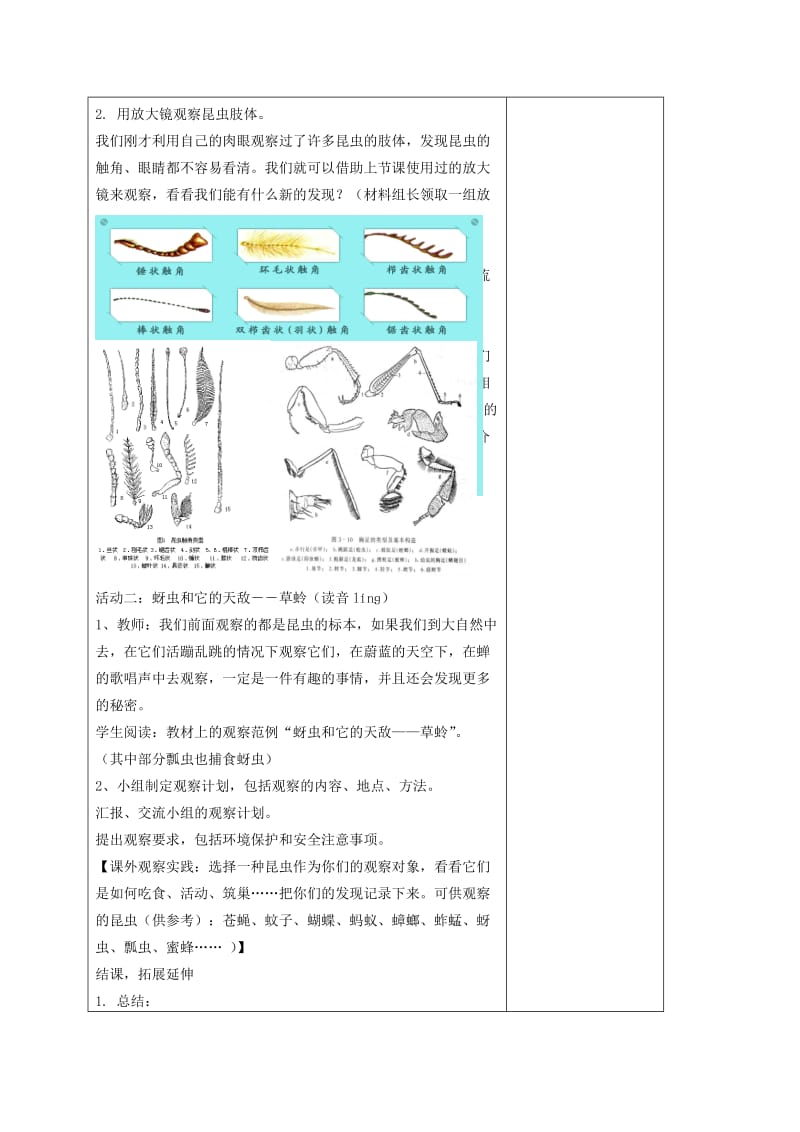 2019-2020年六年级科学下册 放大镜下的昆虫世界教案 教科版.doc_第3页