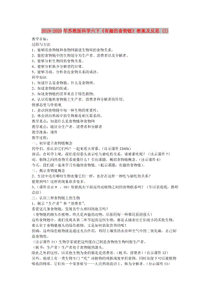 2019-2020年蘇教版科學(xué)六下《有趣的食物鏈》教案及反思 (I).doc