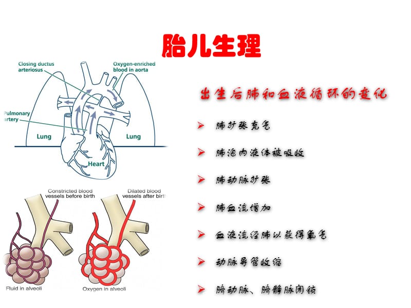 新生儿复苏ppt课件_第3页