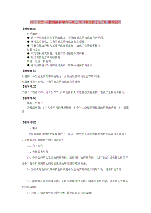 2019-2020年教科版科學(xué)六年級上冊《誰選擇了它們》教學(xué)設(shè)計(jì).doc