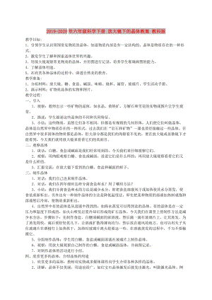 2019-2020年六年級科學下冊 放大鏡下的晶體教案 教科版.doc