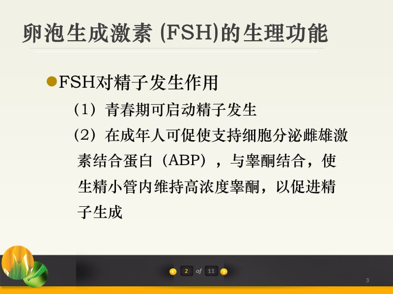 性激素在男性的生理功能及其临床意义ppt课件_第3页