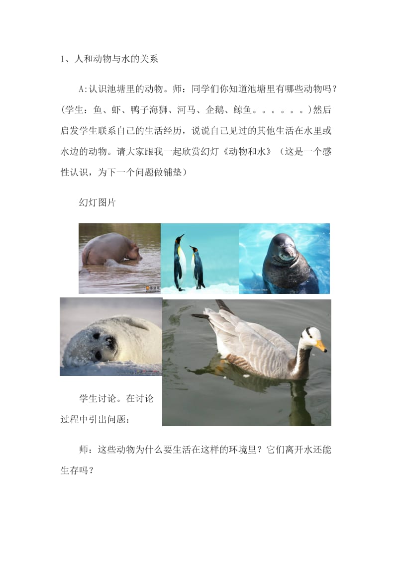 2019-2020年三年级上册《水与动物》word教案.doc_第3页