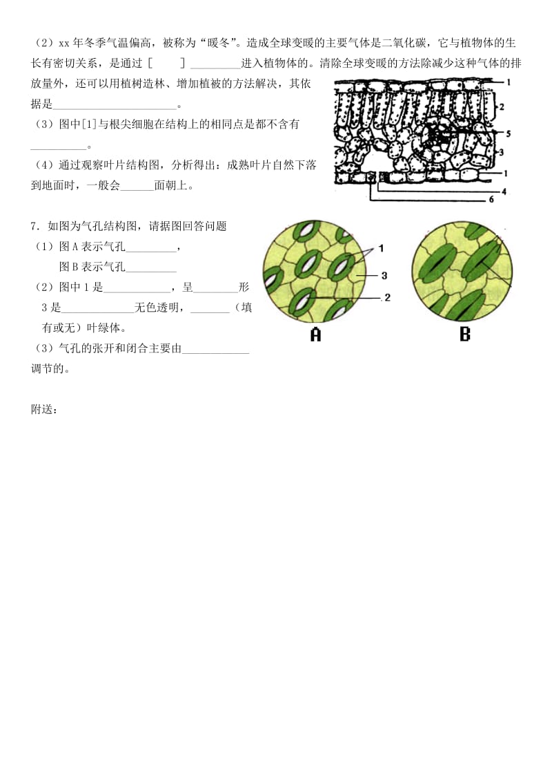 2019年六年级生物下册 第三单元 第三章 绿色植物与生物圈的水循环复习导学案 鲁科版五四制.doc_第3页