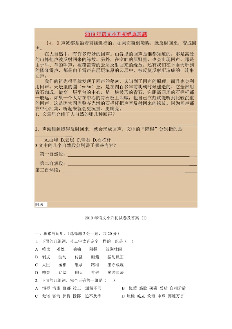 2019年语文小升初经典习题.doc_第1页