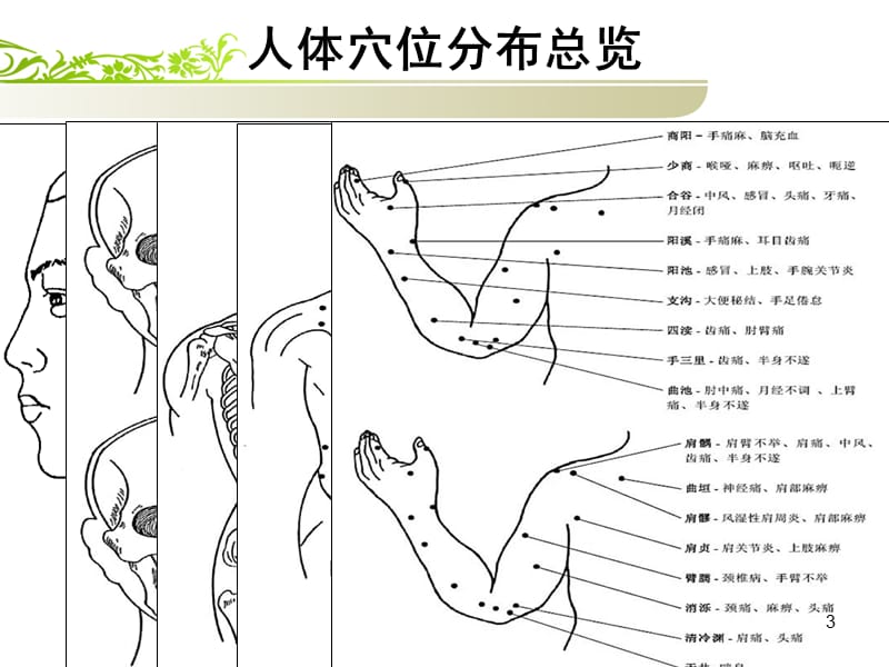 穴位的基础知识ppt课件_第3页