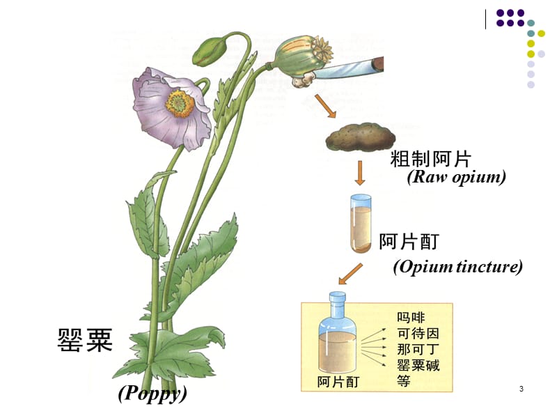 绪论药效学ppt课件_第3页