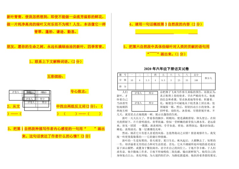 2020年六年级下册语文试卷.doc_第2页