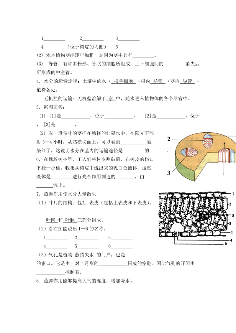 2019年六年级生物下册 第三单元 第三章 第一节 水分进入植物体内的途径课后反思 鲁科版（五四制）.doc_第3页