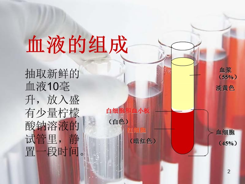 血液制品ppt课件_第2页