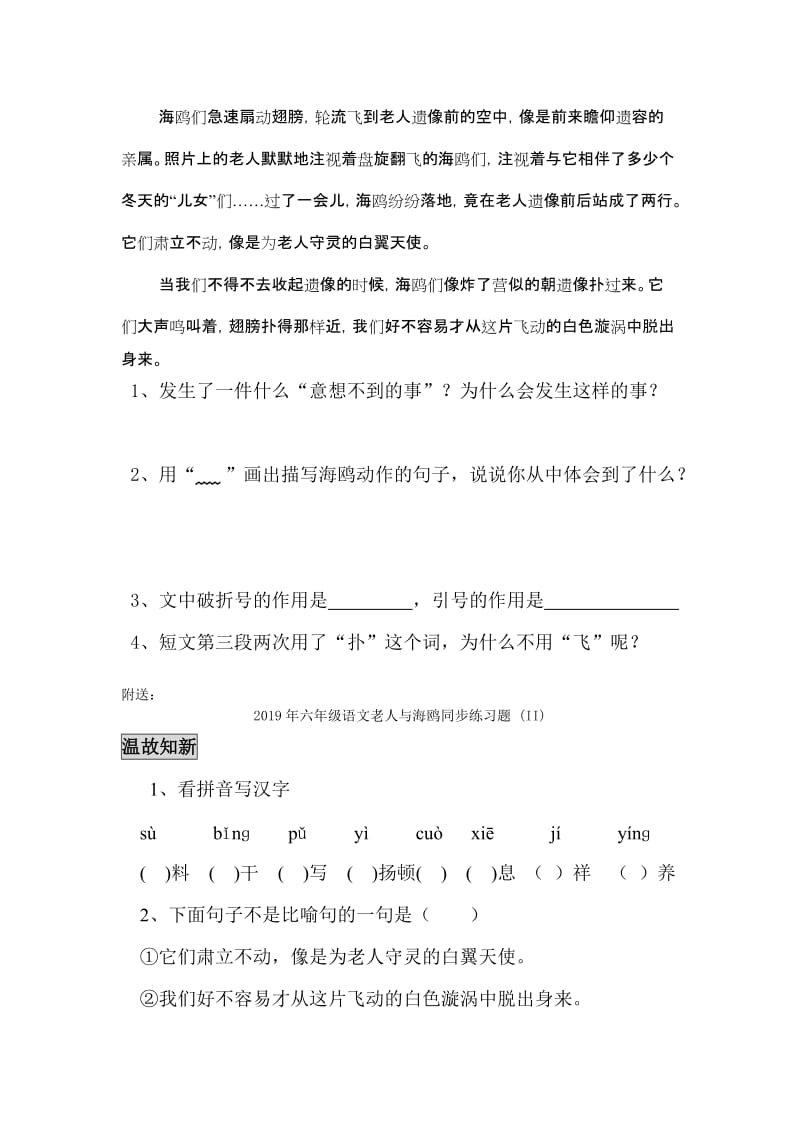 2019年六年级语文老人与海鸥同步练习题 (I).doc_第2页