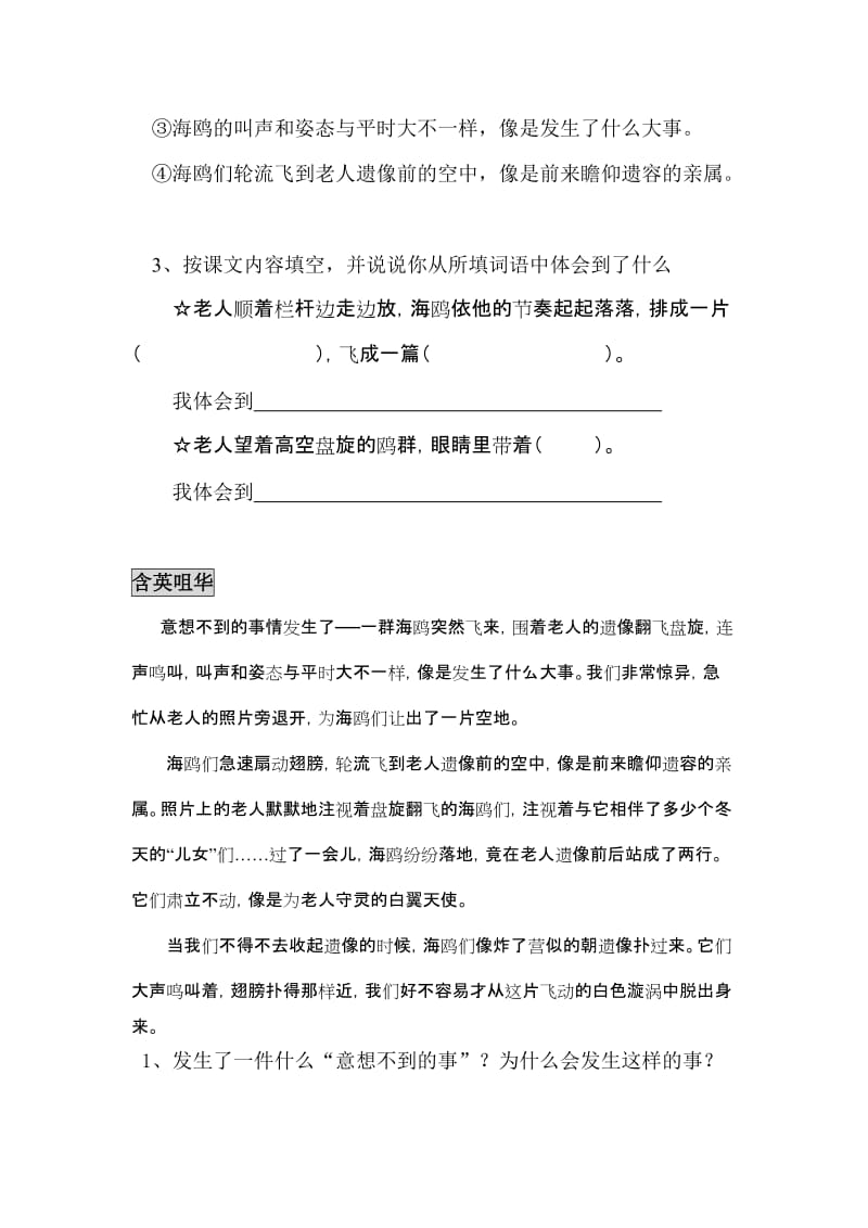 2019年六年级语文老人与海鸥同步练习题 (I).doc_第3页