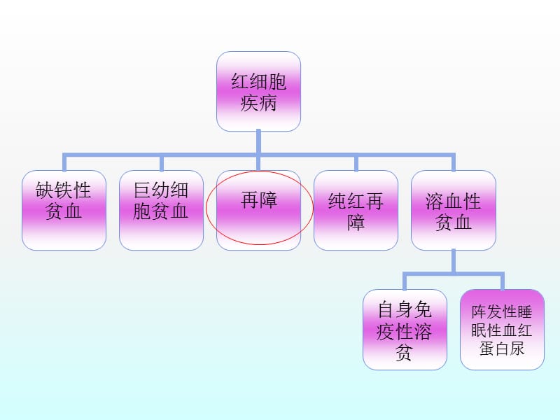 血液II科常见疾病治疗方案ppt课件_第2页