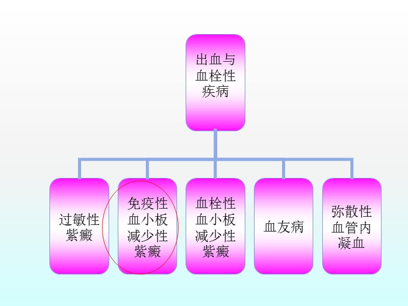 血液II科常见疾病治疗方案ppt课件_第3页