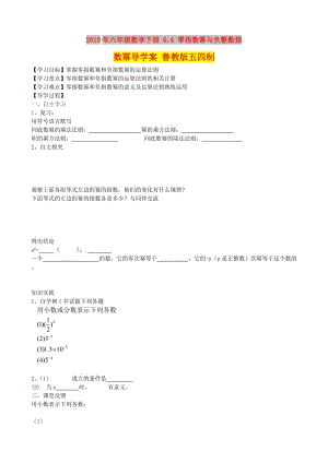 2019年六年級數(shù)學(xué)下冊 6.4 零指數(shù)冪與負(fù)整數(shù)指數(shù)冪導(dǎo)學(xué)案 魯教版五四制.doc