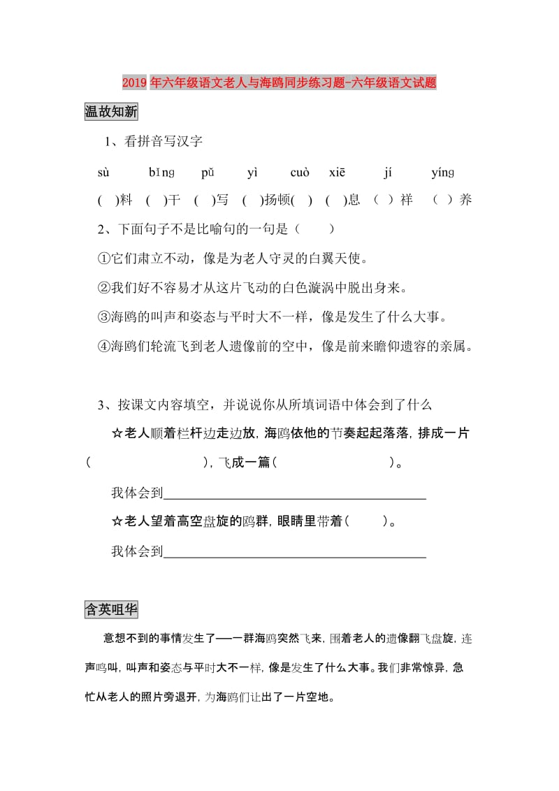 2019年六年级语文老人与海鸥同步练习题-六年级语文试题.doc_第1页