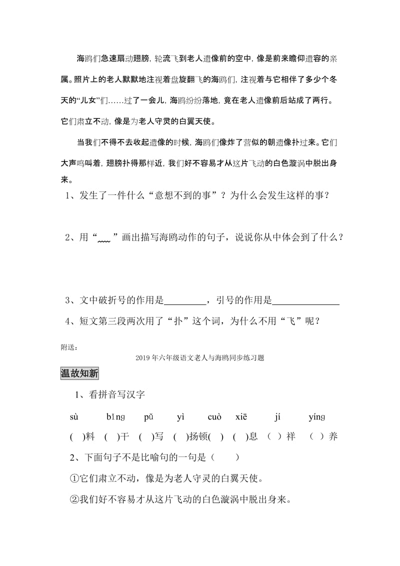 2019年六年级语文老人与海鸥同步练习题-六年级语文试题.doc_第2页