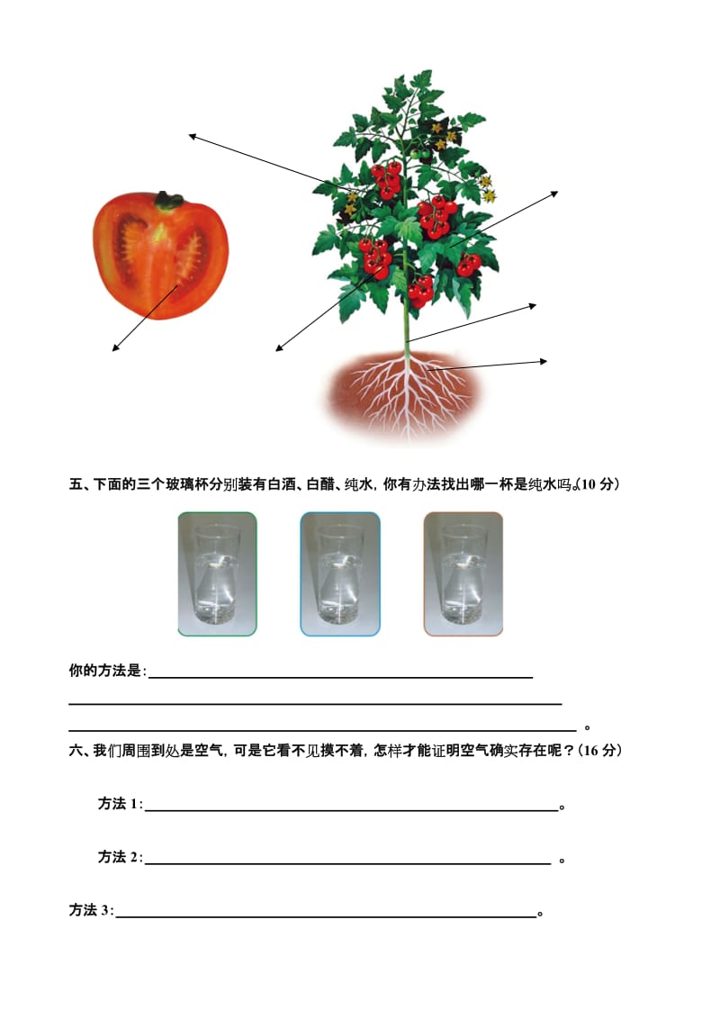 2019年三年级科学期末检测题-小学三年级新课标人教版.doc_第2页