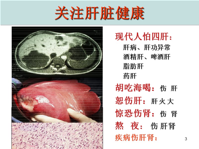 修身养性自我提升发展模式领导干部健康管理腹部肥胖治理ppt课件_第3页