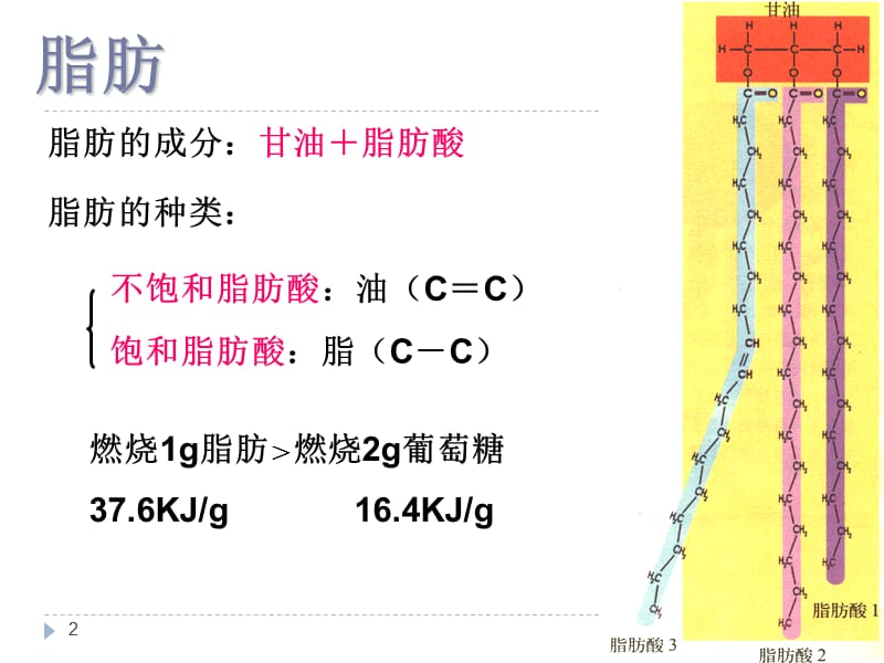 血脂代谢ppt课件_第2页