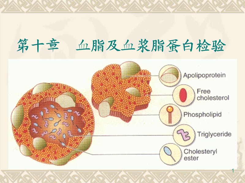 血脂及血浆脂蛋白检验ppt课件_第1页