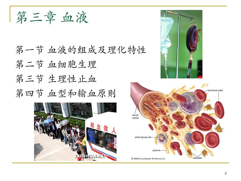 血液生理ppt课件_第2页