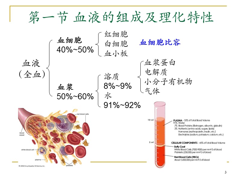 血液生理ppt课件_第3页